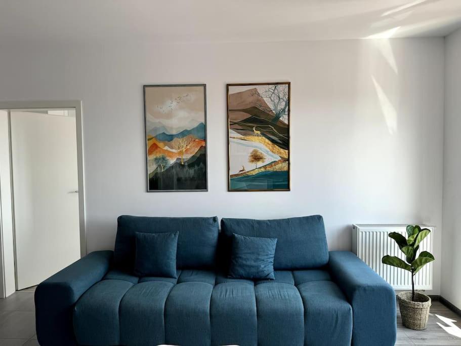 Seville Studio Cu Terasa & Vedere La Munte 布拉索夫 外观 照片